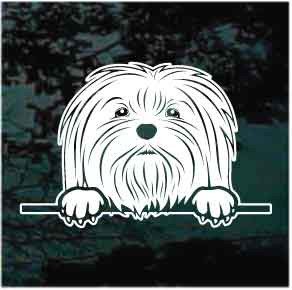 Maltese Peeking car window decals stickers