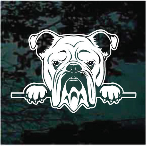 Peeking English Bulldog car window decals stickers