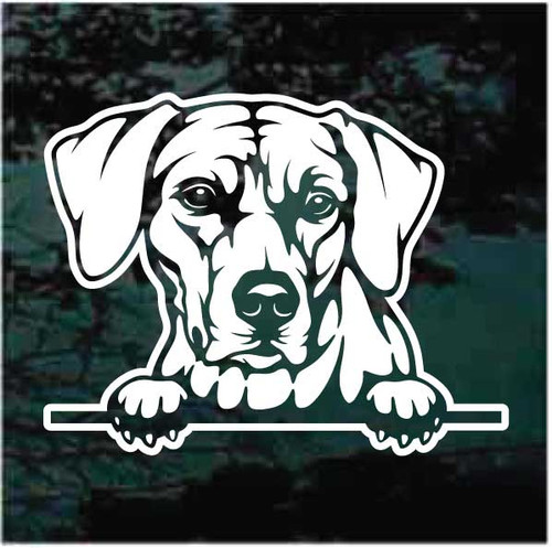 Rhodesian Ridgeback Peeking car window decals stickers
