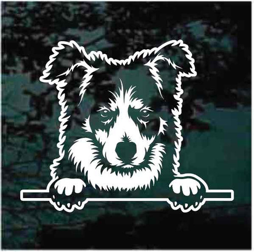 Border Collie Peeking car window decals stickers