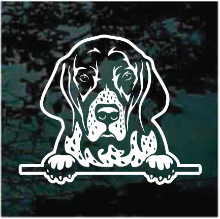 English Pointer Peeking car window decals stickers