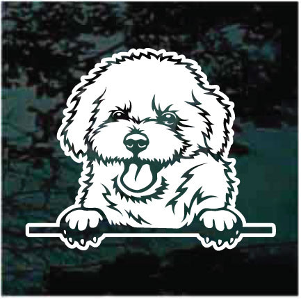 Bichon Frise Peeking car window decals stickers