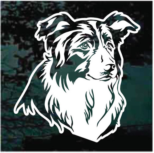 Beautiful Border Collie Head Window Decals