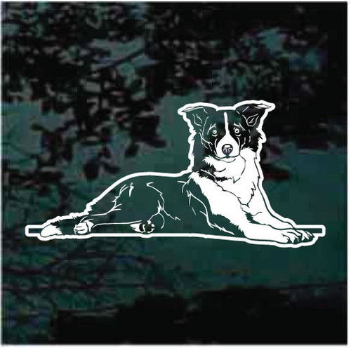 Border Collie Down car window decals stickers