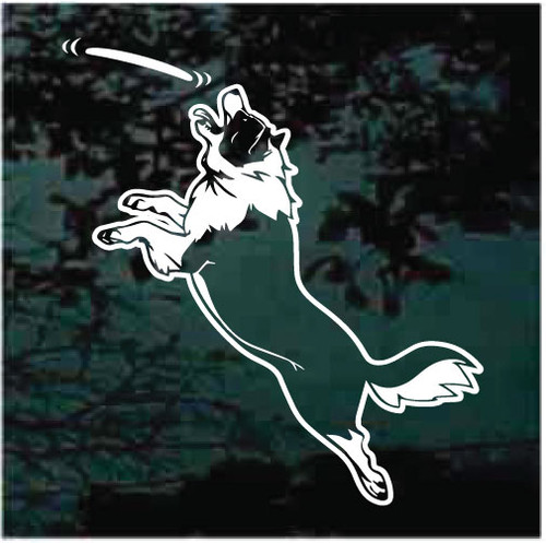 Border Collie Catching Frisbee Window Decals