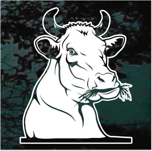 Bull Eating Hay Looking Out The Window car decals stickers