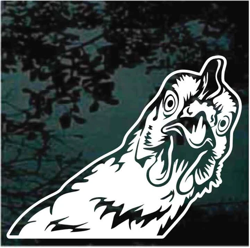 Funny Chicken Looking Out The Window car decals stickers