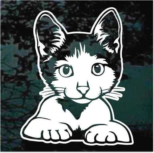 Kitty Cat Looking Out The Window car decals stickers