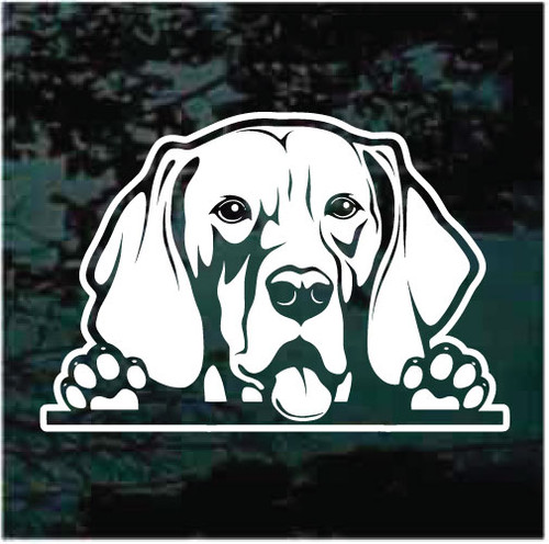 Weimaraner Looking Out The Window car window decals stickers