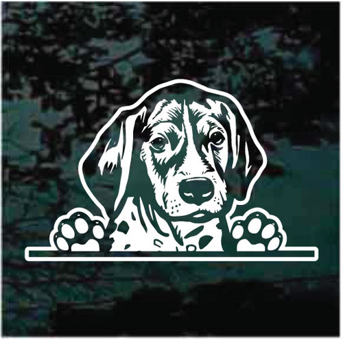 German Shorthaired Pointer In The window decals stickers
