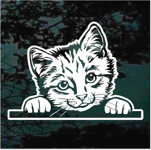 Kitten Looking Out The Window car decals stickers