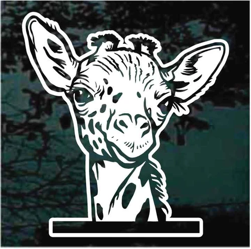 Giraffe Looking Out The Window car decals stickers