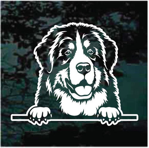 Happy Bernese Mountain Dog Peeking In The Window car window decals stickers
