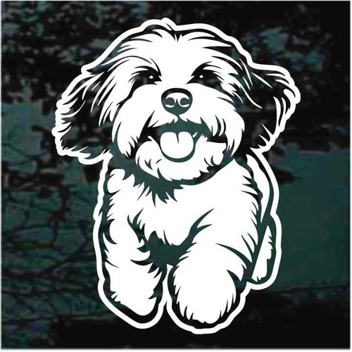 Cute Havanese Running decals stickers