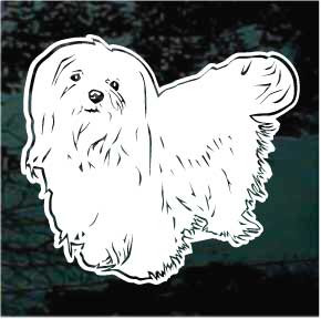 Pretty Maltese car window decals stickers