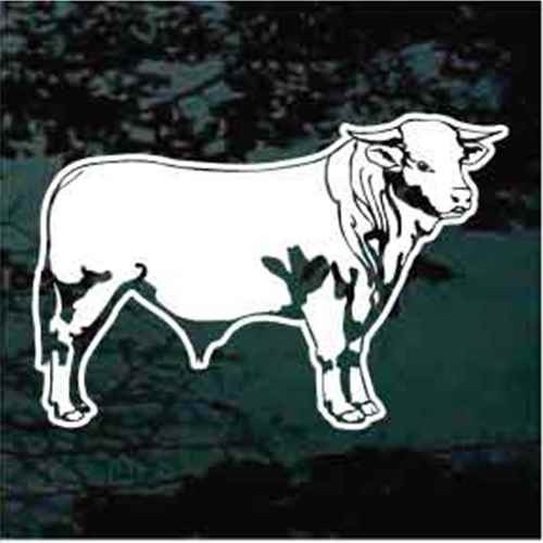 Charbray Bull Window Decals