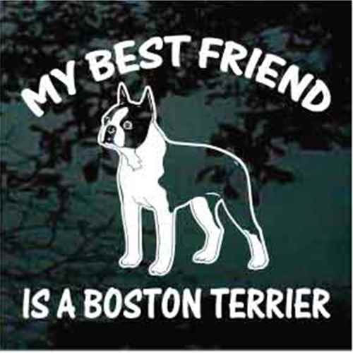 Best Friend Standing Boston Terrier car window decals stickers