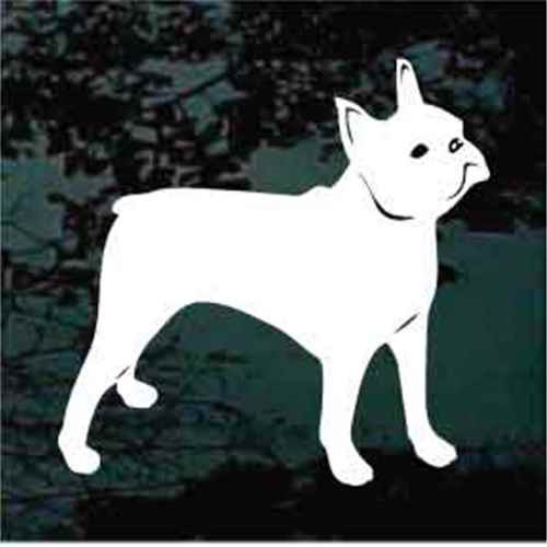 Solid Boston Terrier Window Decals