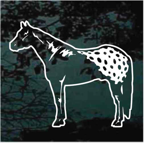 Accurate Appaloosa Horse decals stickers