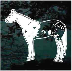 Stylish Appaloosa Horse car window decals stickers