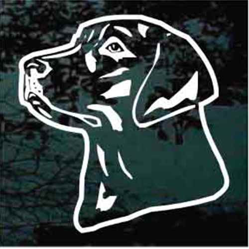 Handsome Labrador Retriever Head car window decals stickers