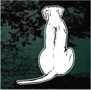 Excellent Rhodesian Ridgeback car window decals stickers