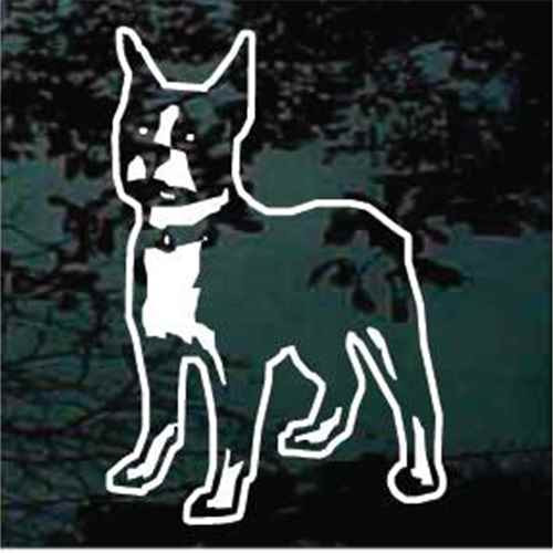 Boston Terrier Facing car window decals stickers