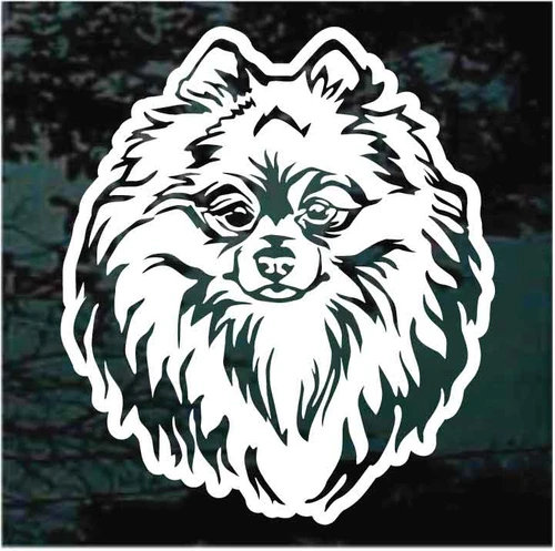 Sweet Pomeranian Head decals stickers