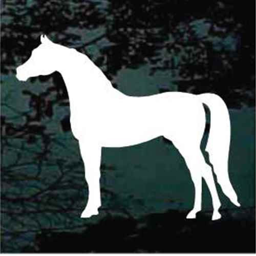 Arabian Horse Standing Silhouette car window decals stickers