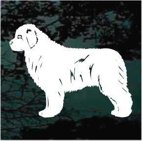 Newfoundland Dog Profile car window decals stickers