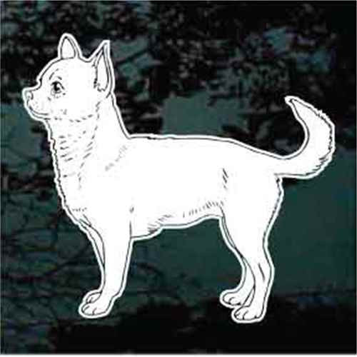 Short Haired Chihuahua Window Decals