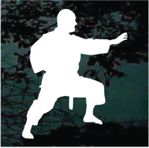 Martial Arts Silhouette 23 Decals