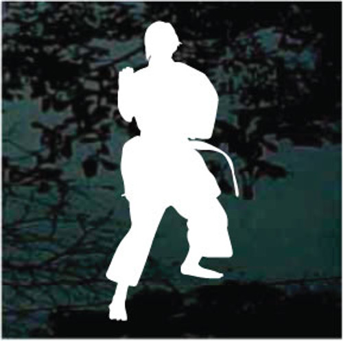 Martial Arts Silhouette 24 Decals