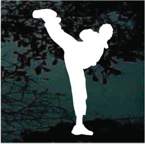 Martial Arts Silhouette 32 Decals