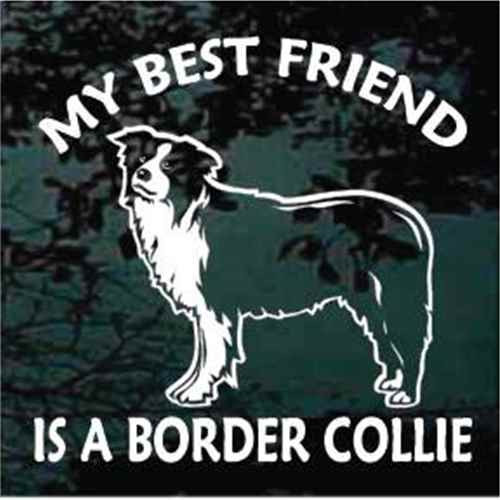 Best Friend Standing Border Collie car window decals stickers