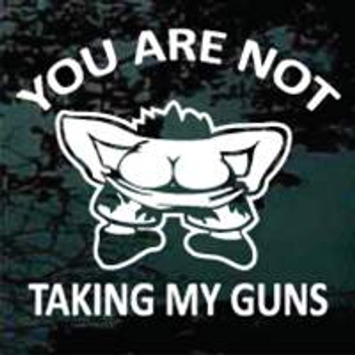 You Are Not Taking My Guns