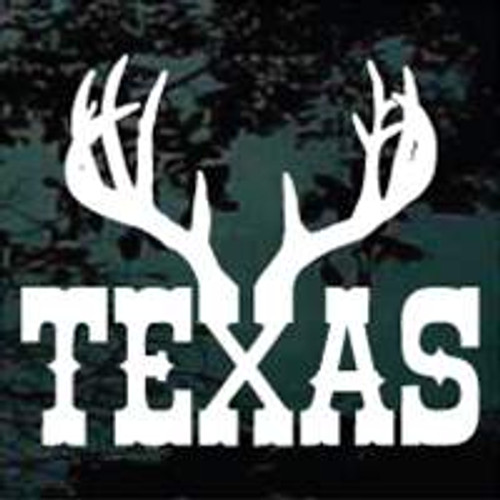 Texas Antlers Custom