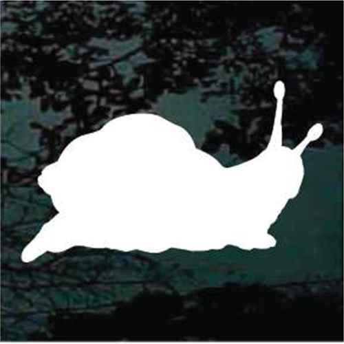 Solid Snail Cut Out Window Decals