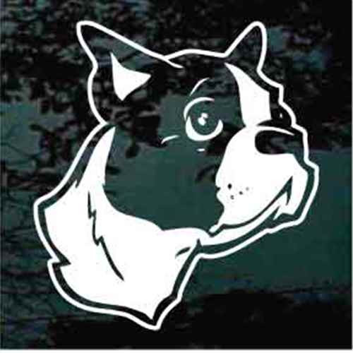 Detailed Boston Terrier Head Window Decals