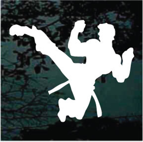 Martial Arts Silhouette 01 Decals