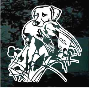 Labrador Retriever Head With Pheasant car window decals stickers
