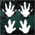 Armadillo Tracks decals stickers