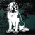 St. Bernard Sitting car window decals stickers