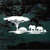 African Elephants Safari car window decals stickers African Elephants Safari car window decals stickers