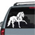 Accurate Andalusian Horse car window decals stickers