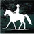 Cowboy Riding Gaited Horse car window decals stickers