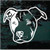 Friendly Pitbull Face car window decals stickers