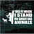 This Is Where I Stand On Shooting Animals Bow Hunter Window Decal This Is Where I Stand On Shooting Animals Bow Hunter Window Decal