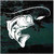 Largemouth Bass Chasing Lure decals stickers Largemouth Bass Chasing Lure decals stickers