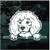 Poodle Peeking car window decals stickers